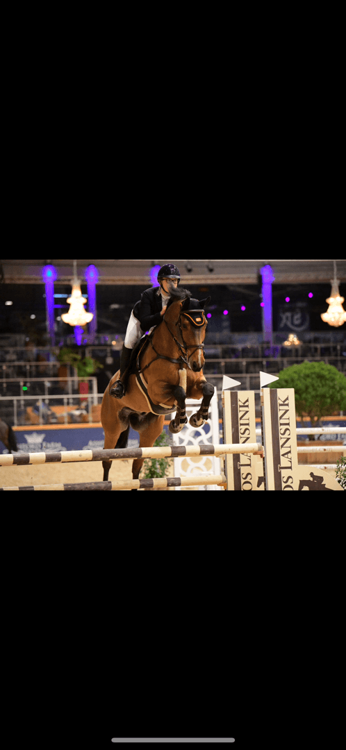 Media 1 av Hermes SV