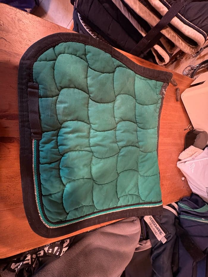 Media 1 av Grönt schabrak från Anna scarpati 