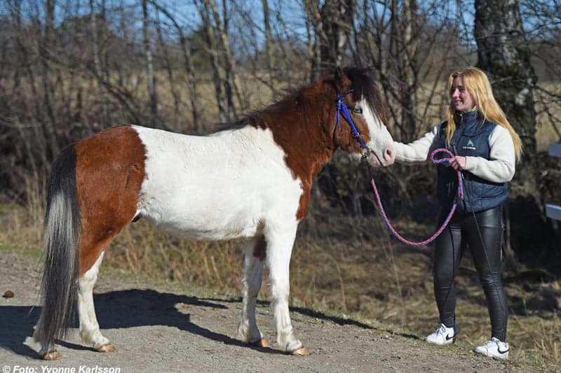 Bild 3 av Krångel Khlan