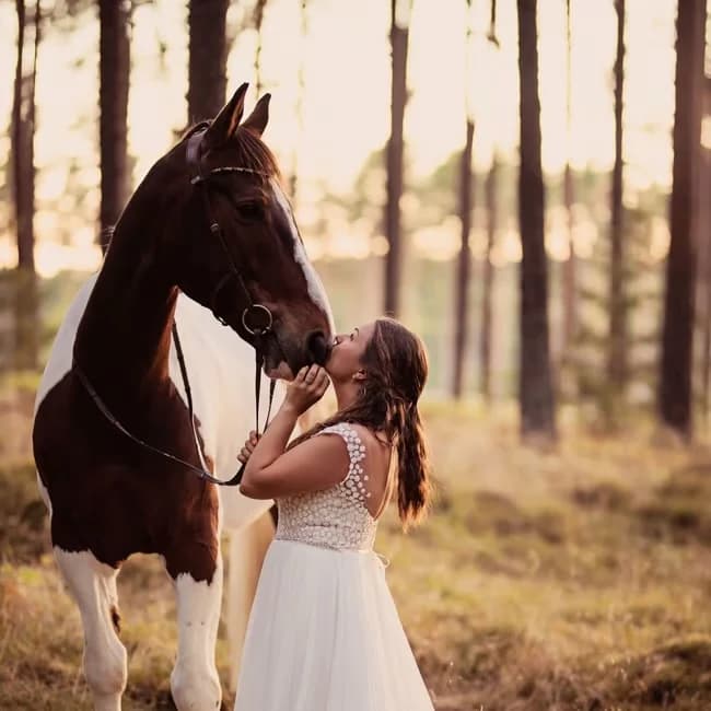 Fyll hästen profil med bilder & videos 🌸