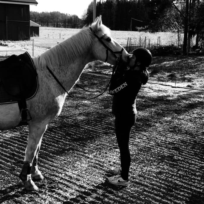 Media 1 av Rolands Boy