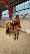 Profilbild av Paris Hilton JMS