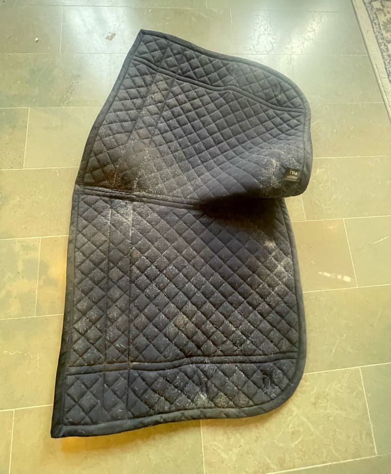 Bild 4 av Equestrian Stockholm schabrak