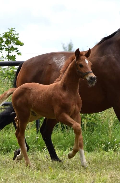 Bild av Självsäker kille med massor av utstrålning