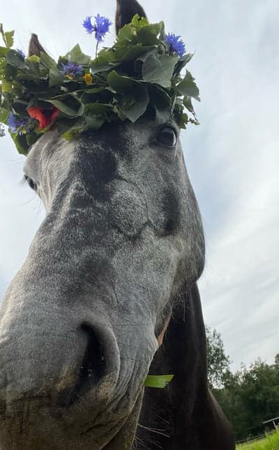 Inlägg 15 av Allround