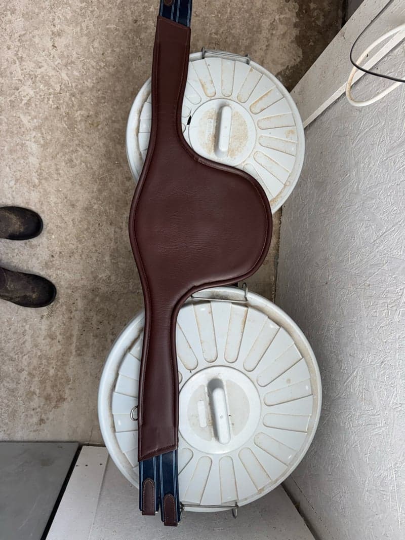 Bild 2 av Brun sadelgjord ifrån Equality Line