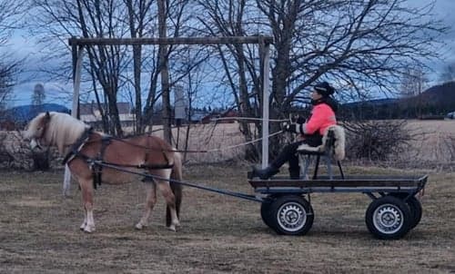 Bild av Trevlig kille 