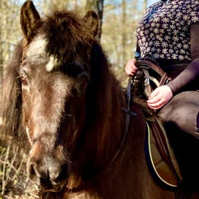 Hængur frá snjallsteinshöfða 2