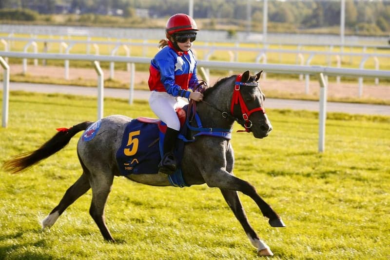 Bild 4 av Träning och tävling ponnygalopp