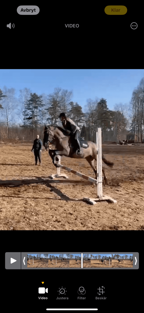 Bild av Mustang söker medryttare