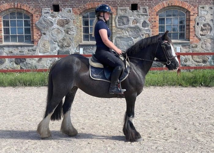 Media 1 av Dingle Lass