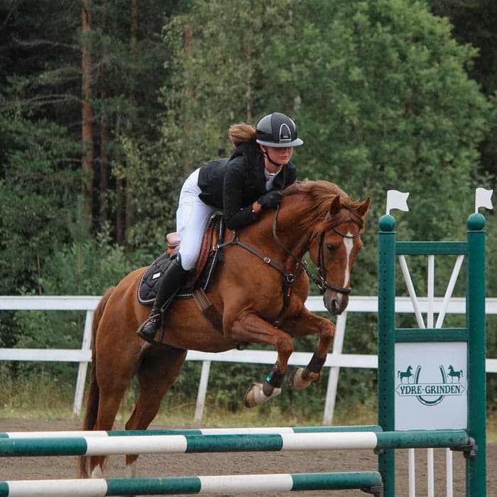 Media 1 av JNS Urabn Cowboy