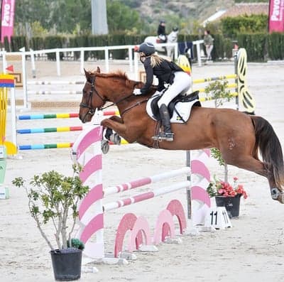 Inlägg 107 av Allround