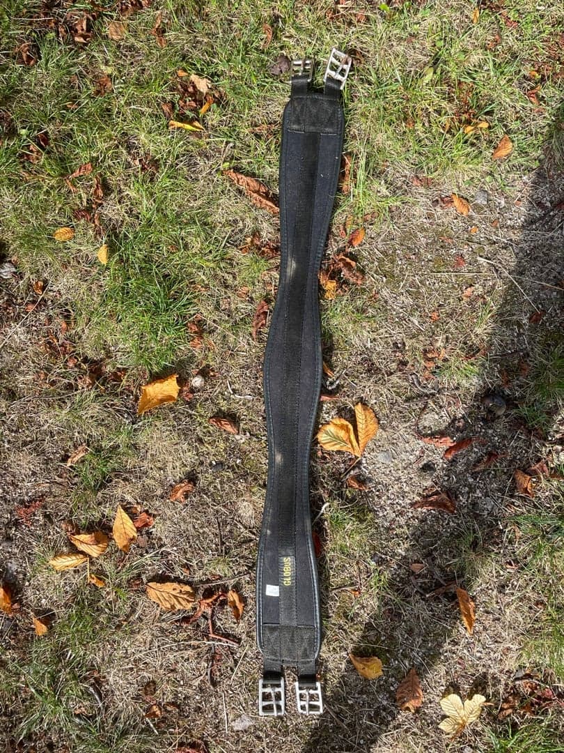 Image 1 of Svart sadelgjord