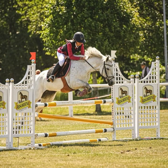 Media 1 of Kylie delight