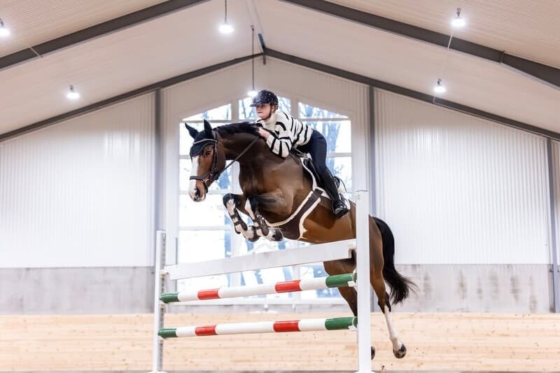 Bild 1 av Inridning/tillridning – från D-ponny till häst