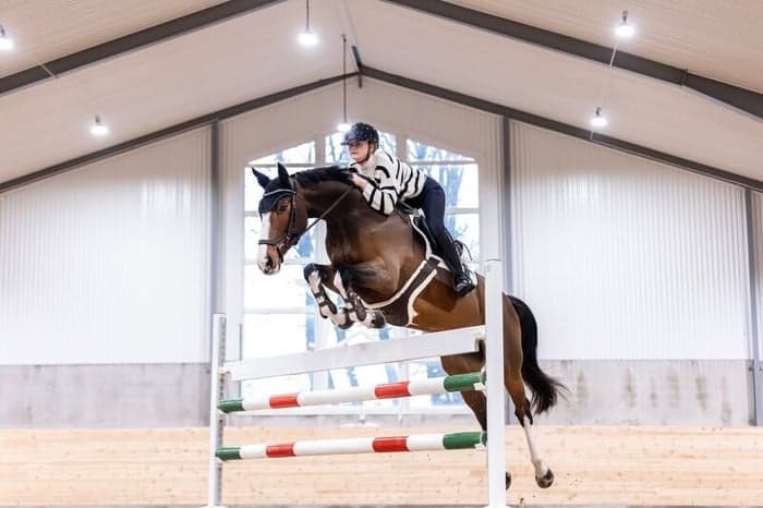 Media 1 av Inridning/tillridning – från D-ponny till häst