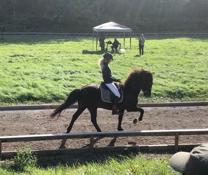 Media 1 of Kráka från Säll