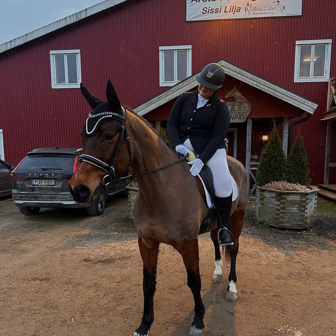Bild 1 av Aragorn swb
