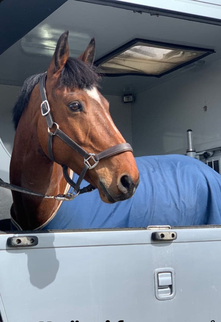 Bild 1 av Shine bright