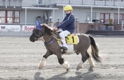 Inlägg 23 av Monté med titeln Monte