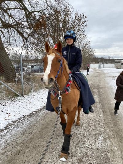 Post 11 of German Riding Pony with title Tävling! 