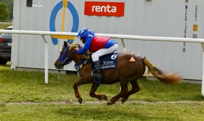 Ponnygalopp 
