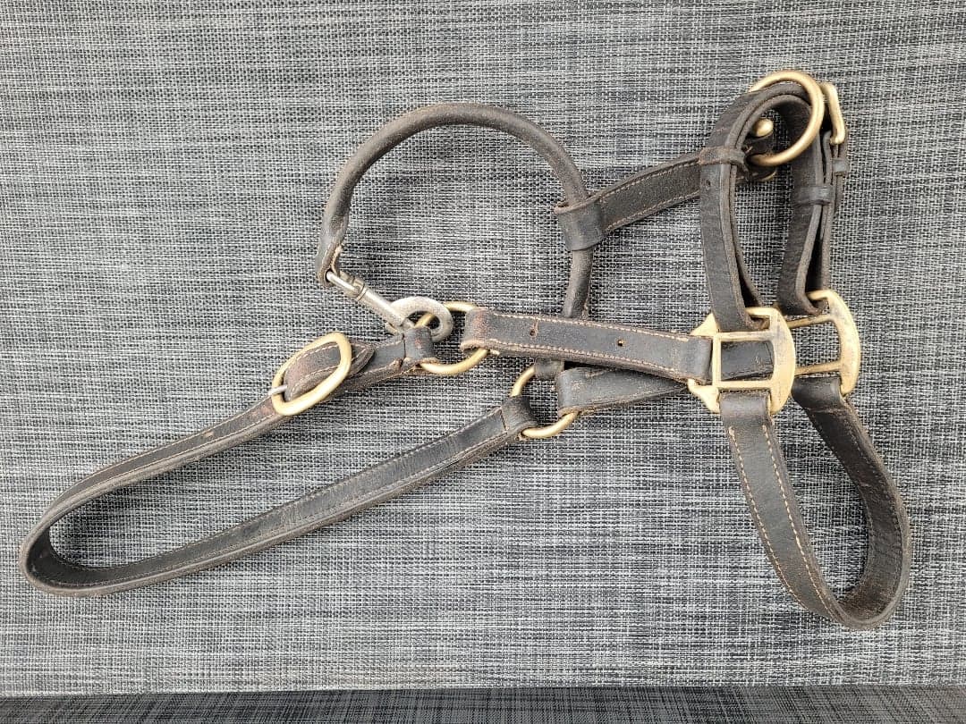 Bild 1 av Black leather halter