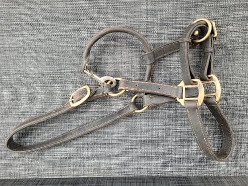 Bild av Black leather halter