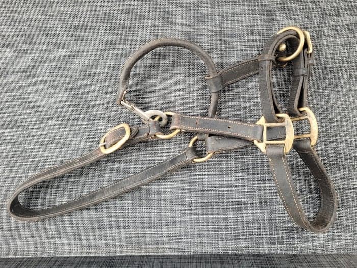 Media 1 av Black leather halter