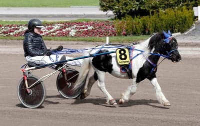 Inlägg 100 av Trav med titeln Ponnytrav 