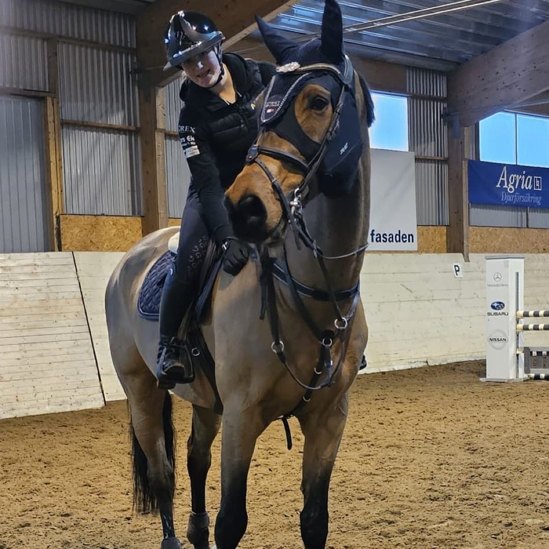 Bild 1 av Don Carlos