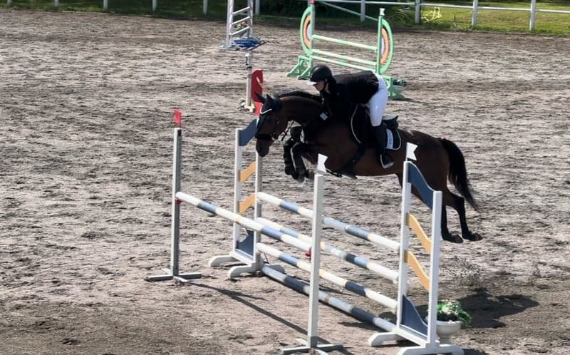 Bild 2 av Sportig häst som hoppar med hjärtat före