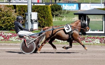 Inlägg 114 av Trav med titeln Ponnytrav 