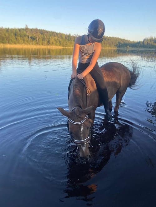 Bild av Fin Läromästare