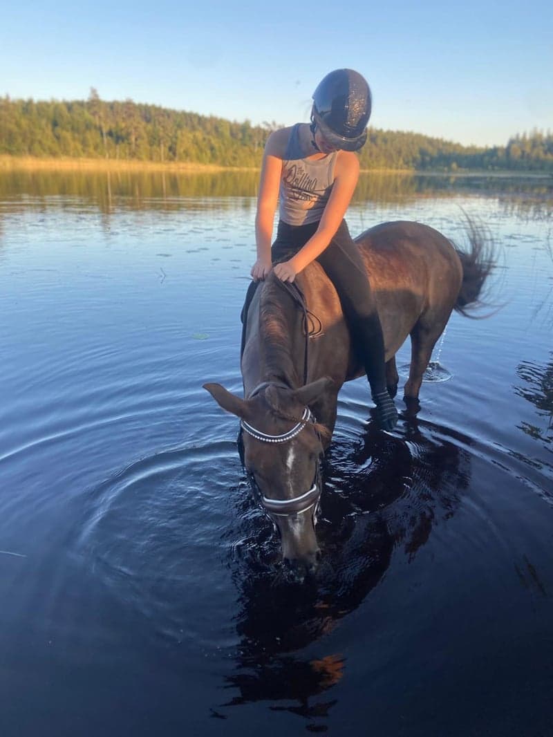 Bild 3 av Fin Läromästare