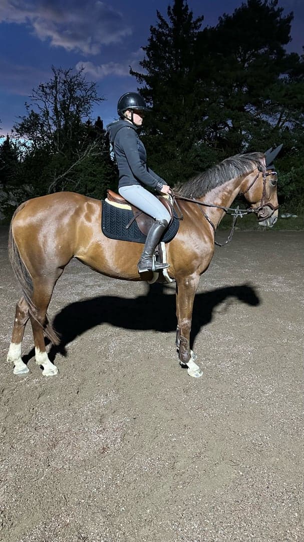 Bild 1 av Swb sto för framtiden 