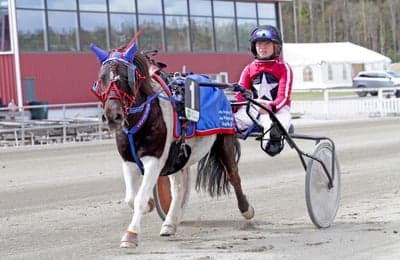 Inlägg 107 av Trav med titeln Ponnytrav 