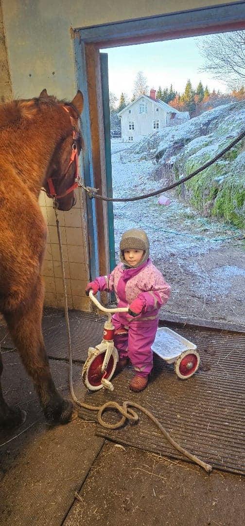 Media 5 of Ákombákom