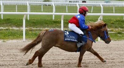 Ponnygalopp 