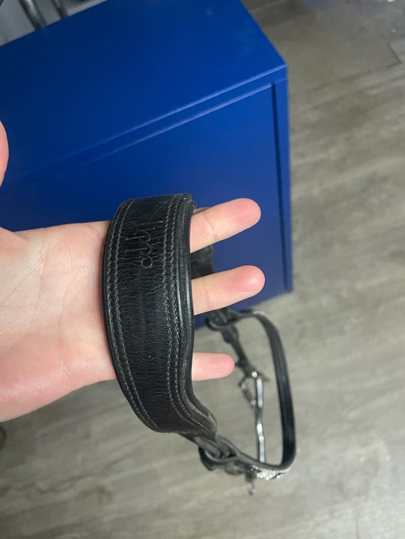 Bild 2 av Komplett träns (utan nosgrimma) strl cob
