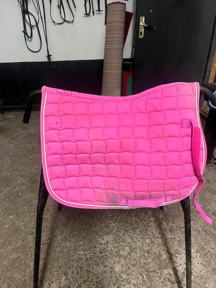 Media 2 of Rosa schabrak