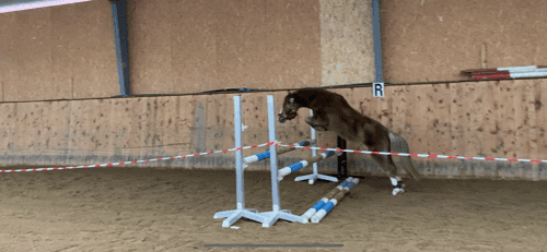 Bild av Världens bästa ponny🦄