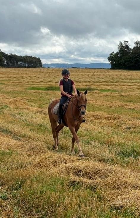 Bild av Ponny för framtiden🌟