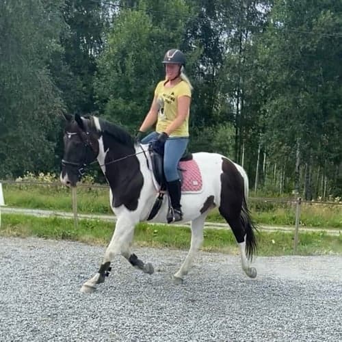 Profilbild av Hanna Leandersson