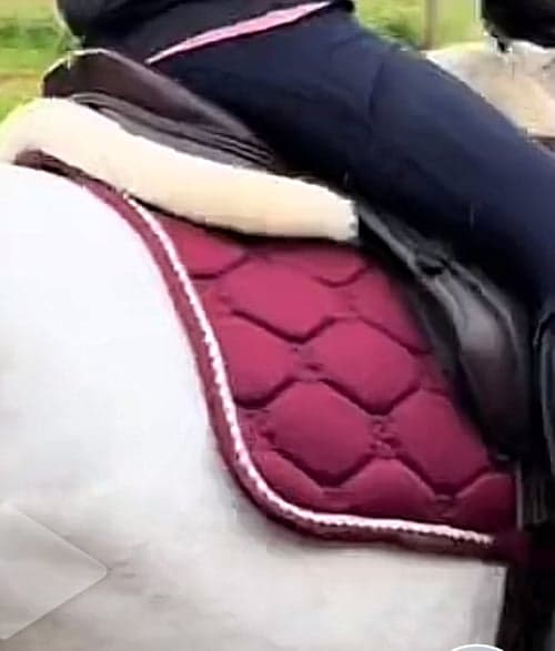 Bild av Röd Sadelpad