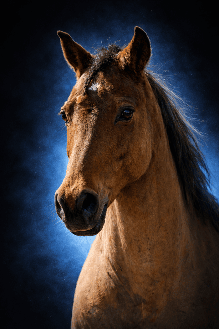 Media 1 av Dumle Ess