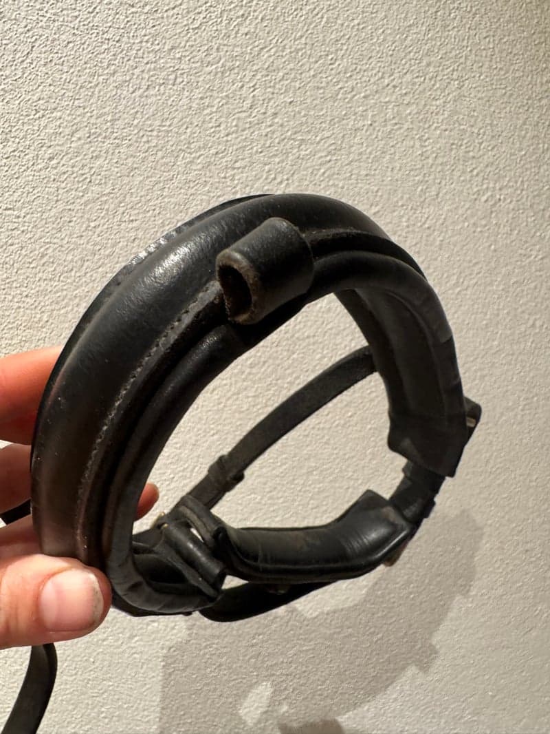 Bild 3 av Svart ponnynosgrimma