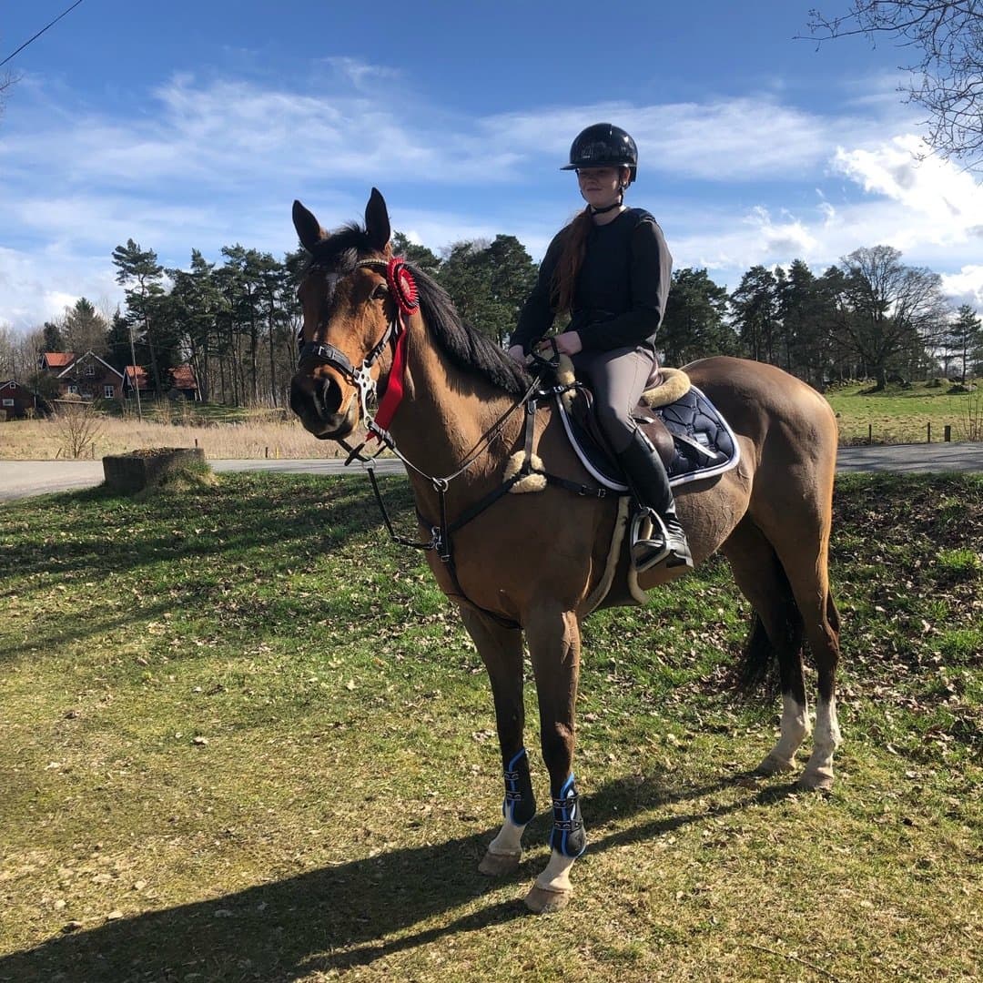 Bild 1 av Reference Cat