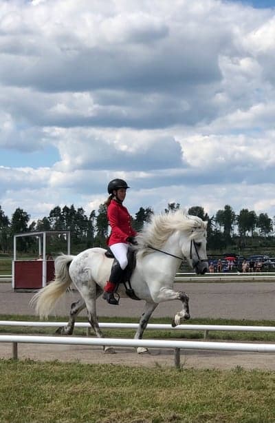 Inlägg 28 av Island